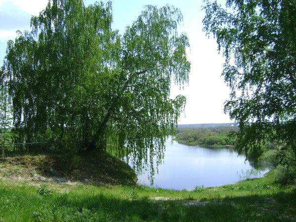 Ммау Цвлр Жемчужный