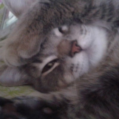 Александр Шулепов