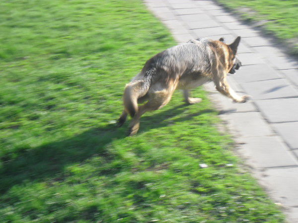 *кыtso* Муrыtso*