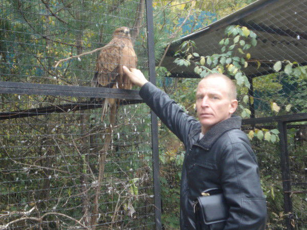 Рома Шандура