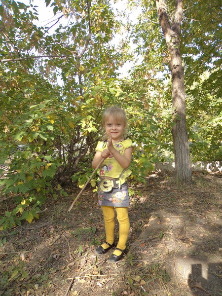 Владимир Орлов