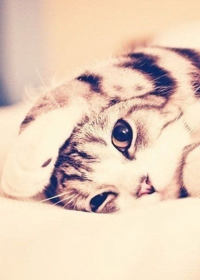 Эльза Насибуллина