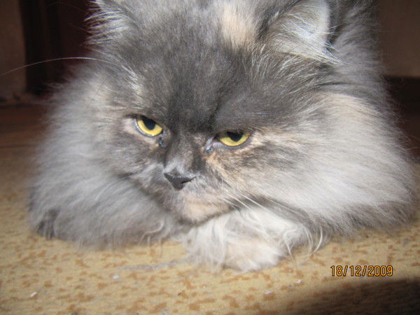 Лариса Лукина