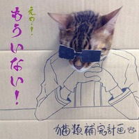 Леша Олейник