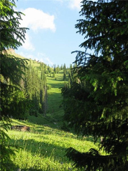 Майра Калабаева