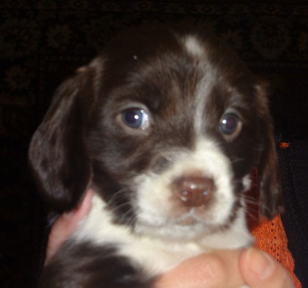 Nana @. . . . . . . @