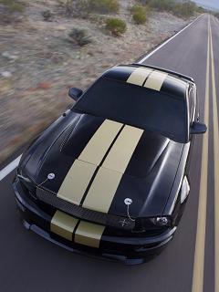 Демид Титов