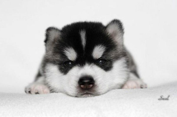 С Уважением Наталья