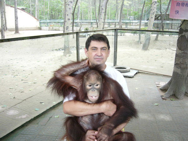 Сергей Матвиенко