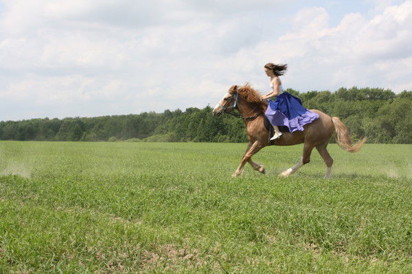 Светлана Боркова