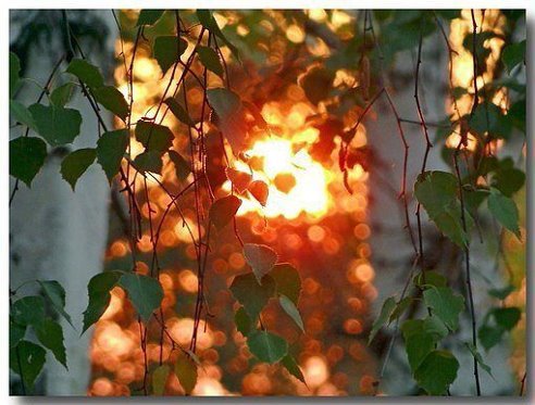 Лида Фадеева