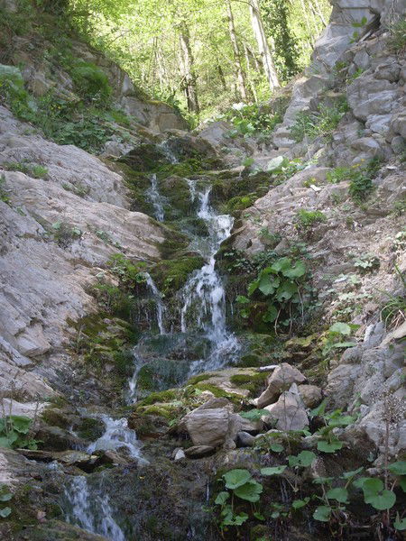 Виталий Воронов