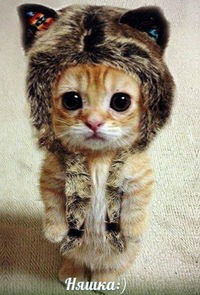 Єва Гаврилюк