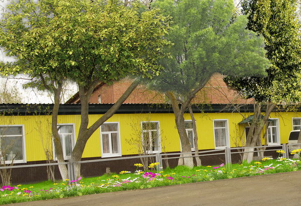 Татьяна Самбулова