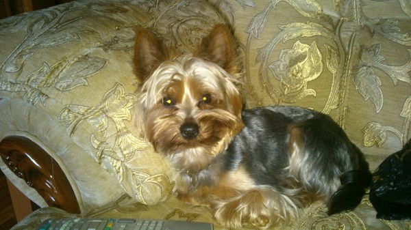 Татьяна ))))))))))