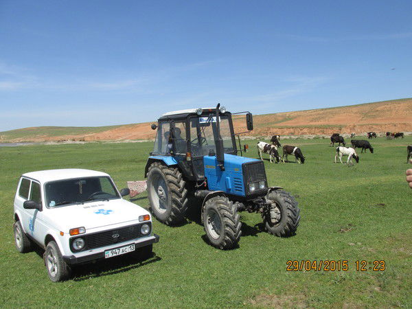 Сайрам Аудандық Ветеринарлық Қызметі Мкк