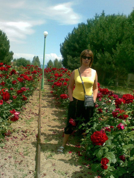 Елена Кулешова