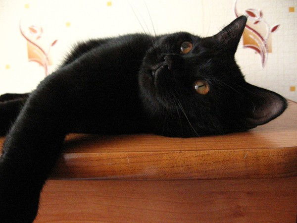 Сергей Дельцов