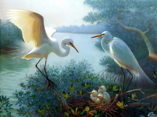 Людмила Пасечник