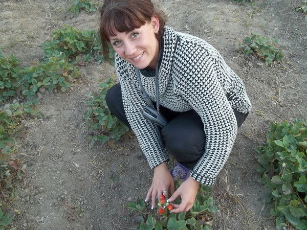 Анна Шкатулова