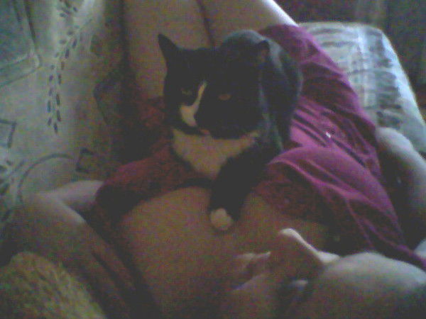 Людмила Костылева