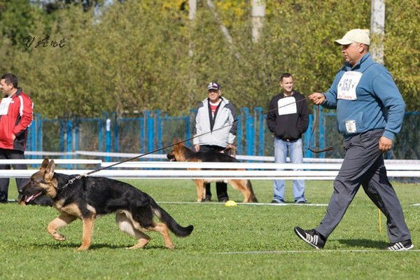 Алманов Владимир