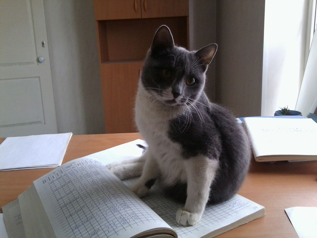 Людмила Мила