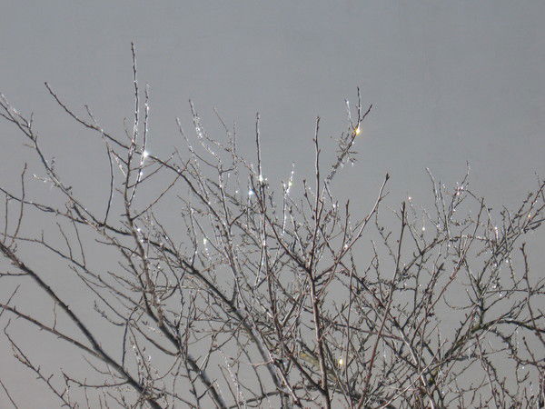 Игорь Мирун