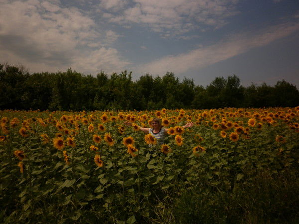 Светлана Димитриенко