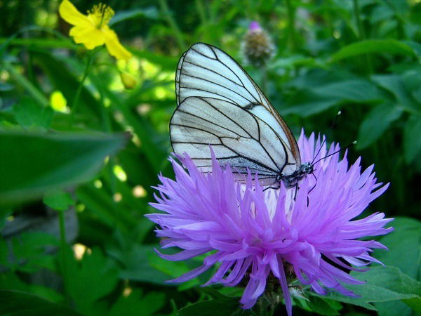 Марина Синицына