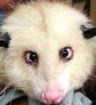 Евгений Кулаковский