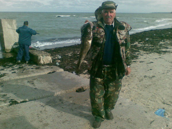 Михаил Сергеев