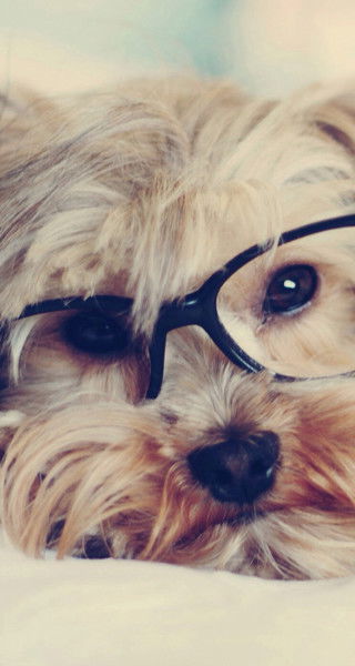 Анастасия Осипова