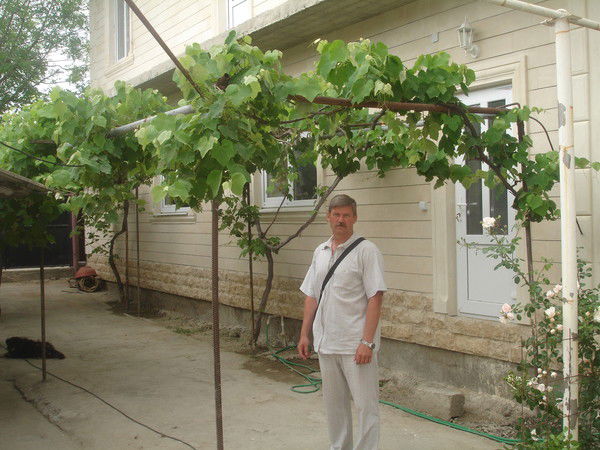 Олег Тимохин