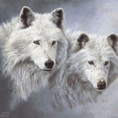 Анатолий Сущинский