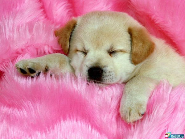 Ирина Бугринская