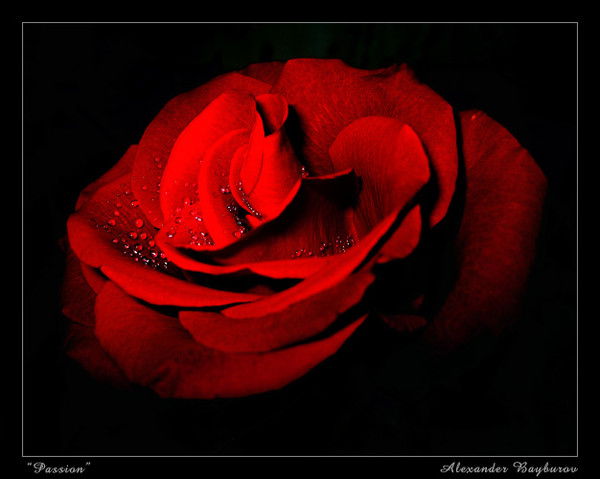 Гузель Насыбуллина