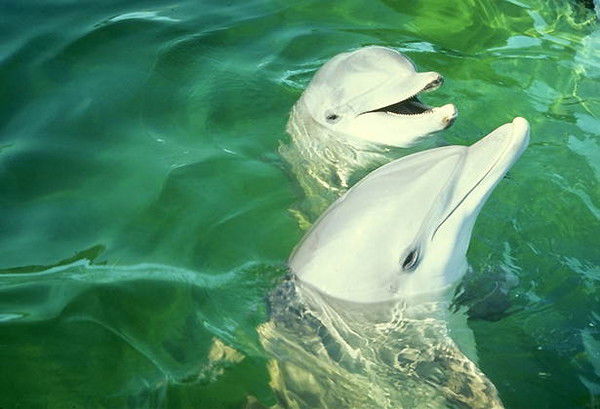 Оксана Жукова