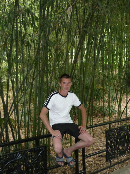 Алексей Коротков