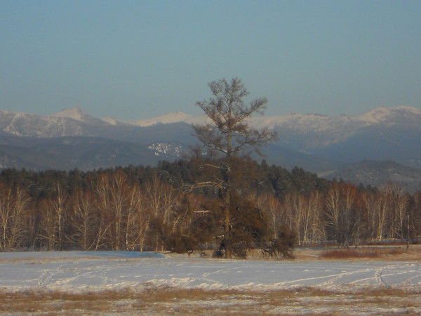 Виктория Бодоулова