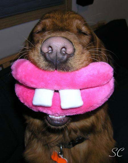 Иван Иванов