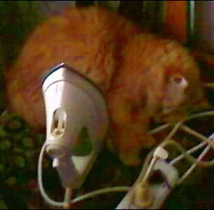 Сергей Баев