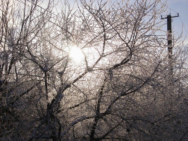 Виктор Линец