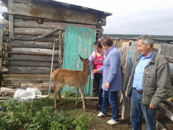 Татьяна Ланцова