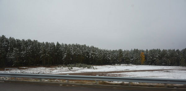 Роза Дюсембенова