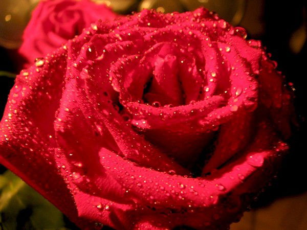 Нургуль Джаубаева