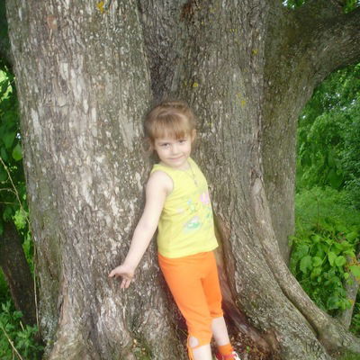 Анатолий Дартаев