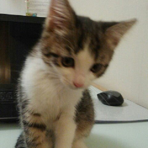 Дарья Васильева