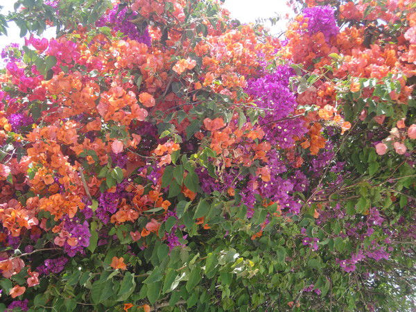 Татьяна Умылина