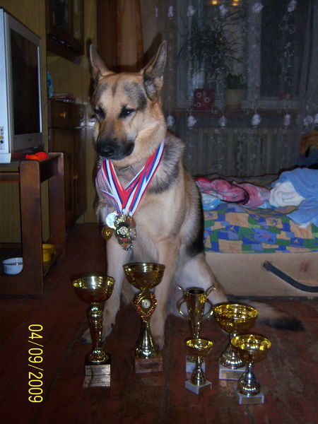 Сергей Козик